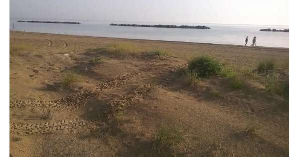                Quad e vandali sulle Dune di Ortona          