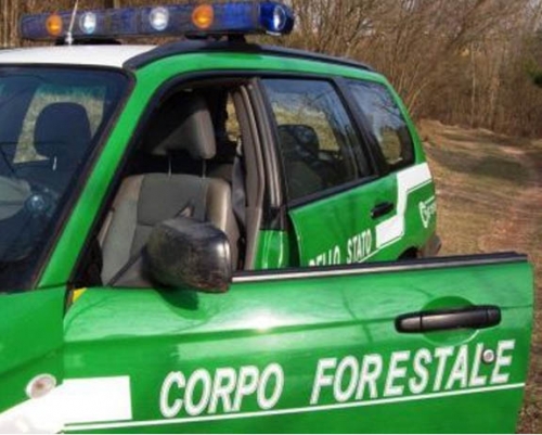Corpo forestale, il tar Abruzzo 'impallina' soppressione. Atti alla Corte Costituzionale
