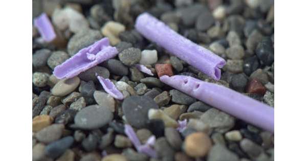                      Progetto mappatura plastiche Adriatico          