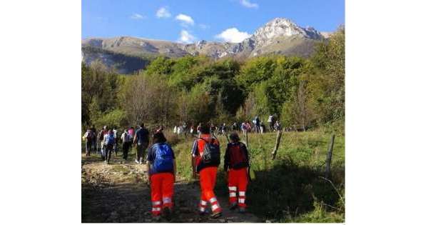                      'Bagno' nella foresta per curare l'ansia          