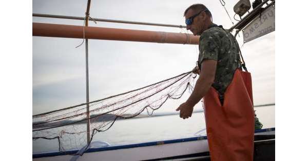 ANSA 15 08 2019 :                        Fermo pesca in Adriatico da domani          