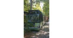 ANSA 18 09 2019 :                        Bus fuori strada nel Pescarese, feriti          