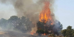 Valle Castellana (Teramo), ancora fuoco: tre ettari in fumo sulla provinciale