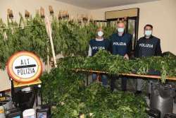 Piantagione di marijuana ad Atri: arrestato 37 di Montesilvano