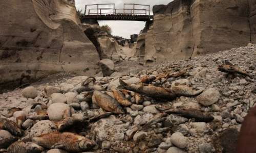 Sicilia. Il fiume Alcantara non c'è più: moria di pesci 