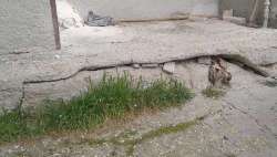 Via Arno, cittadini amareggiati. Di Bonaventura interviene, ATER non pervenuta