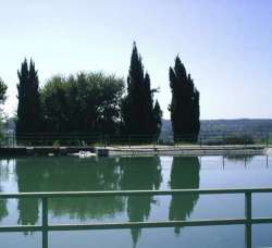 Emergenza irrigazione a Pescara: utenti del Consorzio di Bonifica senz'acqua da settimane