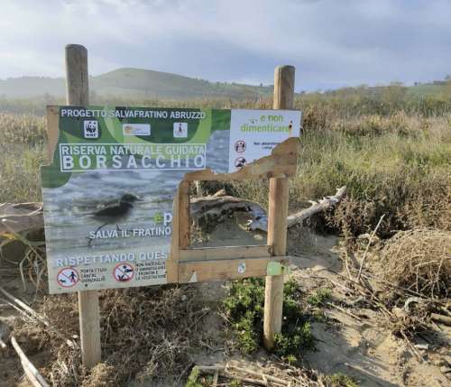 Via libera al Defr 2026-2028: ok dell'Aula regionale. Ridotta la Riserva del Borsacchio