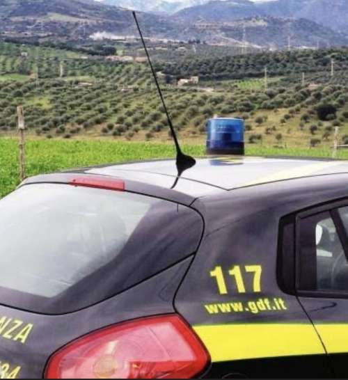 Operazione "Vinum Mentitum" anche in Abruzzo: maxi sequestro di vino falso