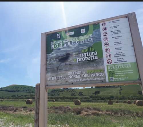 Il Ministero boccia la riperimetrazione della Riserva del Borsacchio