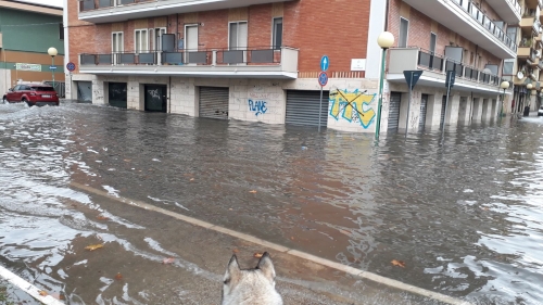 Sembra Venezia, invece è Pescara: un acquazzone la trasforma in laguna