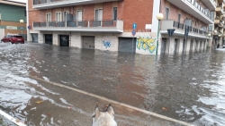 Sembra Venezia, invece è Pescara: un acquazzone la trasforma in laguna