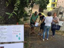                       560 firme per salvare querce secolari          