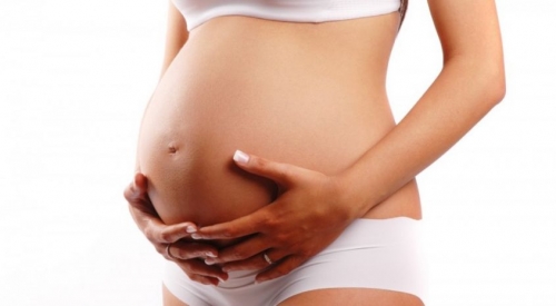 Francia, grande attesa per il verdetto del Comitato etico sulle gravidanze surrogate