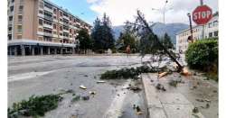                         Fulmine spezza albero in piazza Sulmona          