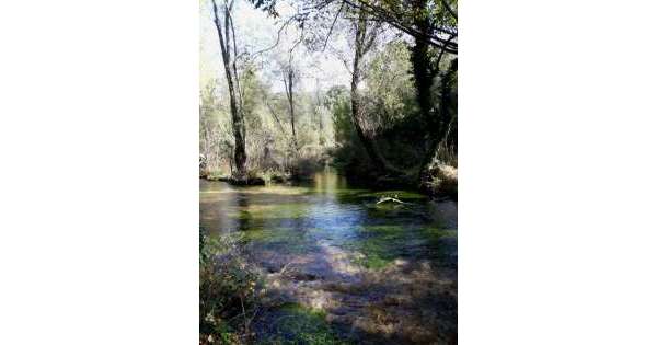                       Alla scoperta delle sorgenti del Vera          