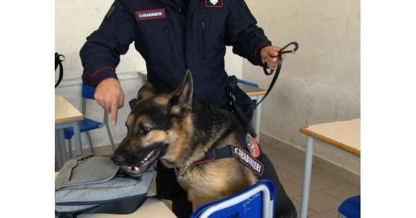                    Droga nelle scuole,controlli carabinieri          
