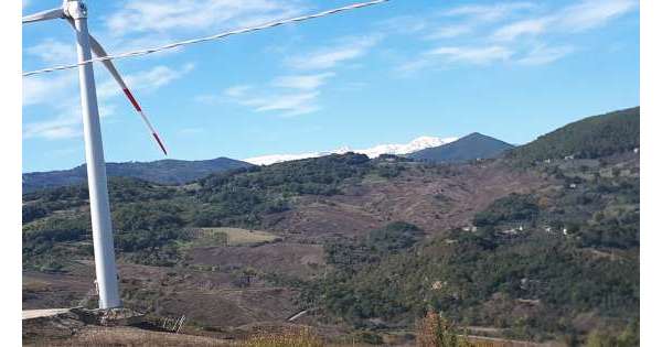                     Ferrero, arriva il Progetto Nocciole          