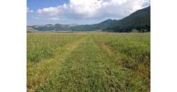                      Trecento in gara al 'Roccaraso Trail'          