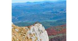                      Trecento in gara al 'Roccaraso Trail'          