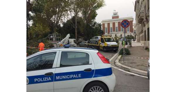                      Albero su auto a Pescara, grave donna          