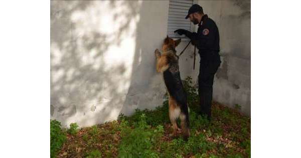                   Cc in scuole Pescara, trovato hashish          