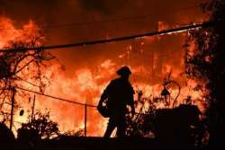 Incendi in California, il bilancio è tragico