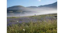                        Forbes, Marche e Abruzzo per pensionati          