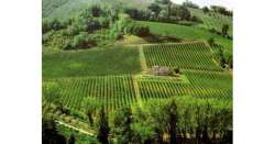                        Forbes, Marche e Abruzzo per pensionati          