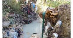                       Inquinamento Torrente Laio, esposto Soa          