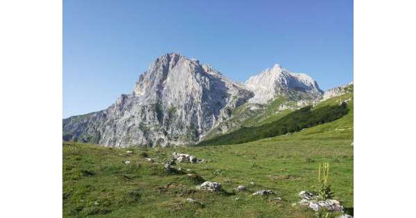                       'Save the Apps' per rilancio Appennino          