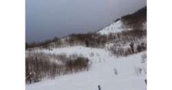                       'Save the Apps' per rilancio Appennino          