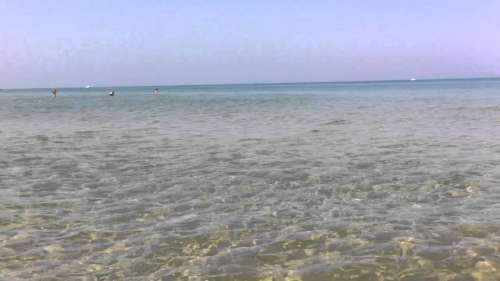 Cologna Spiaggia, la denuncia di Azione Politica: 