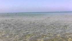 Cologna Spiaggia, la denuncia di Azione Politica: 