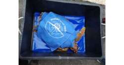                      Era finita nelle reti, salvata tartaruga          