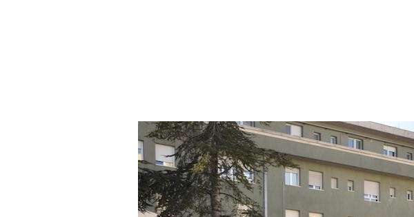                        Clown e cani in Pediatria a Vasto          