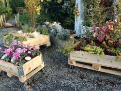 L'Aquila, sì all'orto urbano in via Amiternum