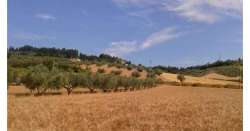                        Contrasto caporalato, proroga protocollo          