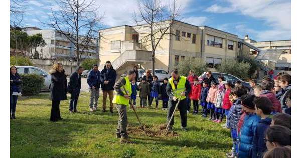 Educazione alla natura: a Montesilvano 50 alberi per le scuole          