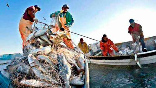 Martinsicuro, Comune tra vincitori bando Flag Costa Blu